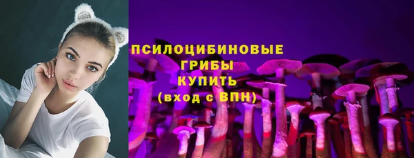 молекула духа Абинск