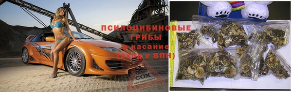 кокс Абаза
