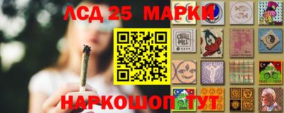 a pvp Новозыбков
