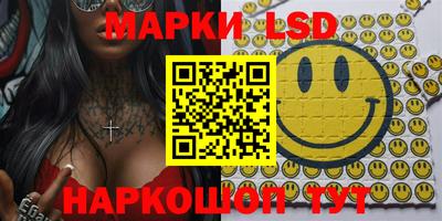a pvp Новозыбков