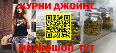 a pvp Новозыбков