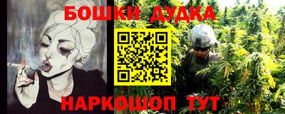 a pvp Новозыбков