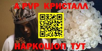 a pvp Новозыбков