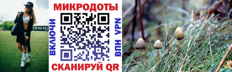 Галлюциногенные грибы мицелий мориарти клад Нижневартовск